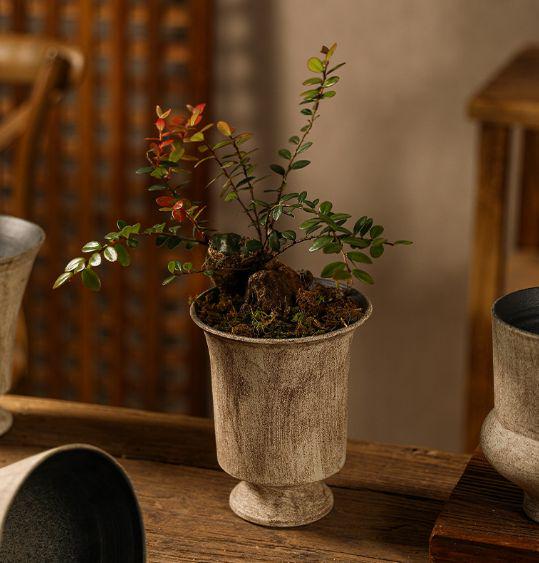 Vase 213