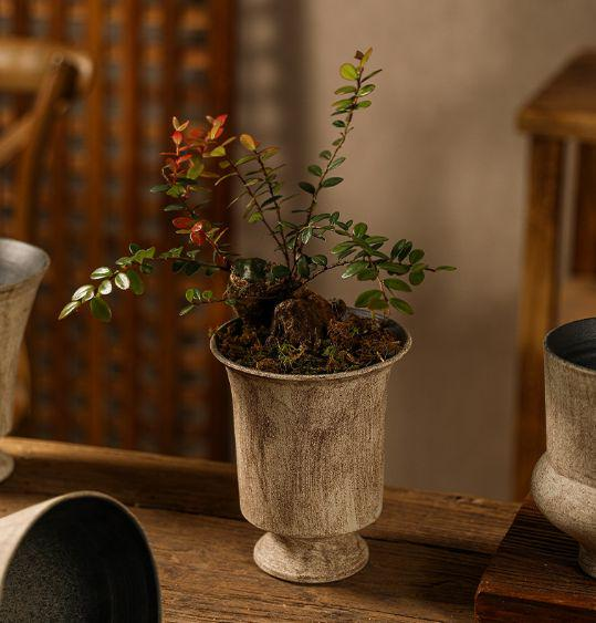 Ceramic Vase - INFINITE TOMATO
