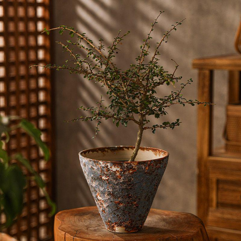 Ceramic Vase - INFINITE TOMATO
